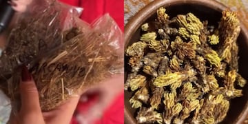 Yuyos mágicos que se consiguen en Cafayate