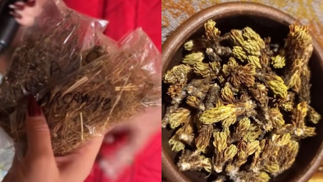 Yuyos mágicos que se consiguen en Cafayate