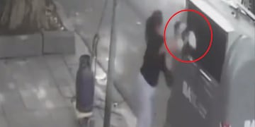 Un vecino de Villa Luro fue a tirar la basura y vio a la perra asustada en el interior del contenedor. Foto: Captura de video.
