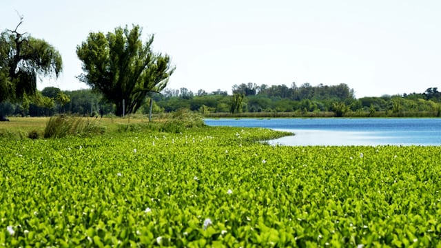 Escapada en Buenos Aires: qué hacer en San Vicente, el destino que posee una imperdible laguna y es ideal para visitar en familia.