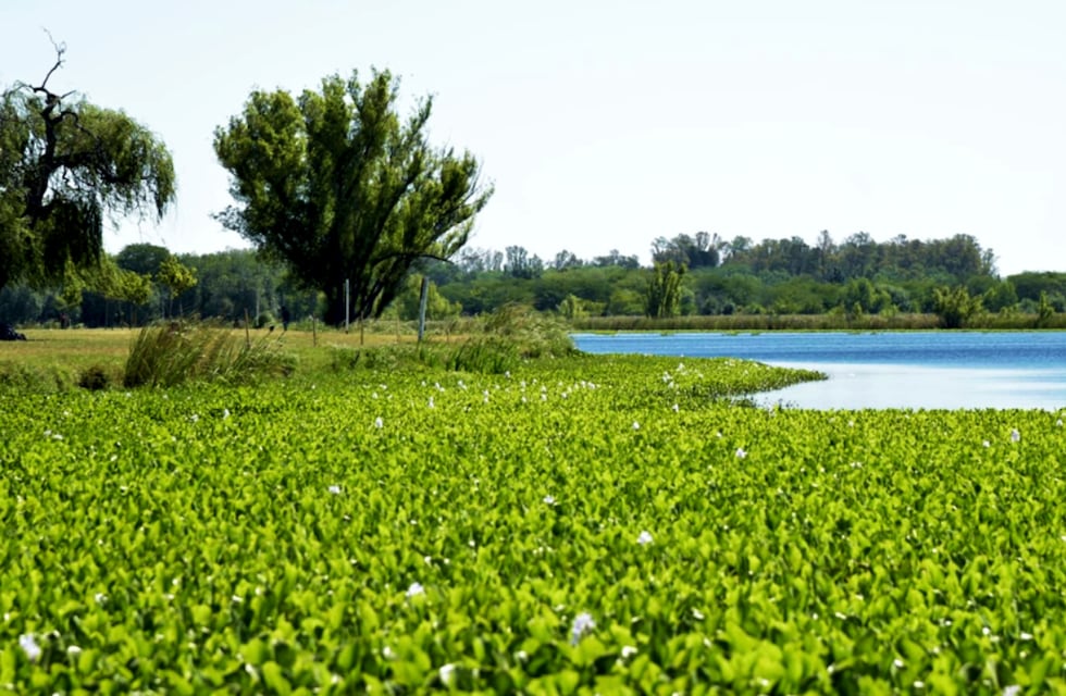 Escapada cerca de Buenos Aires: qué hacer en San Vicente, el destino que posee una imperdible laguna y es ideal para visitar en familia