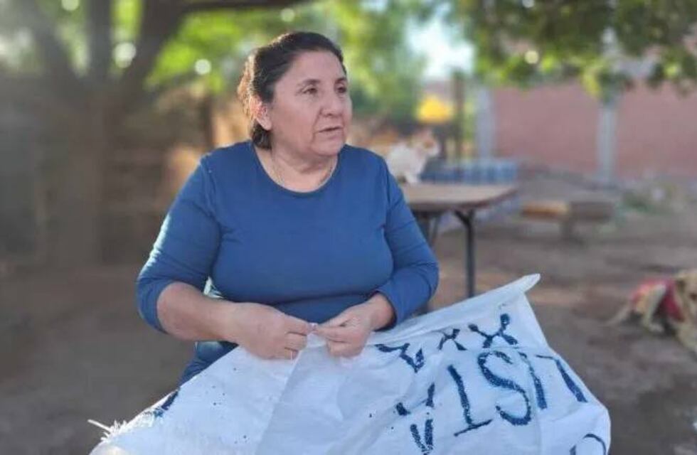 Todo se recicla: el peculiar pedido de una rescatista de perros a los políticos de Neuquén