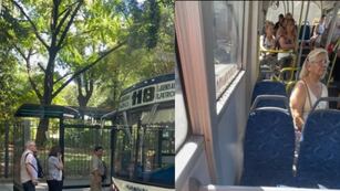 Un español analizó los colectivos argentinos