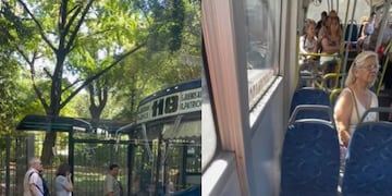 Un español analizó los colectivos argentinos