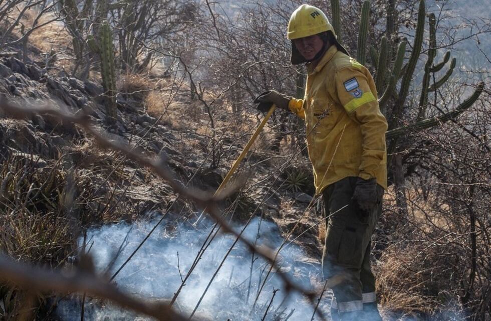 Lograron contener un incendio en Collagasta