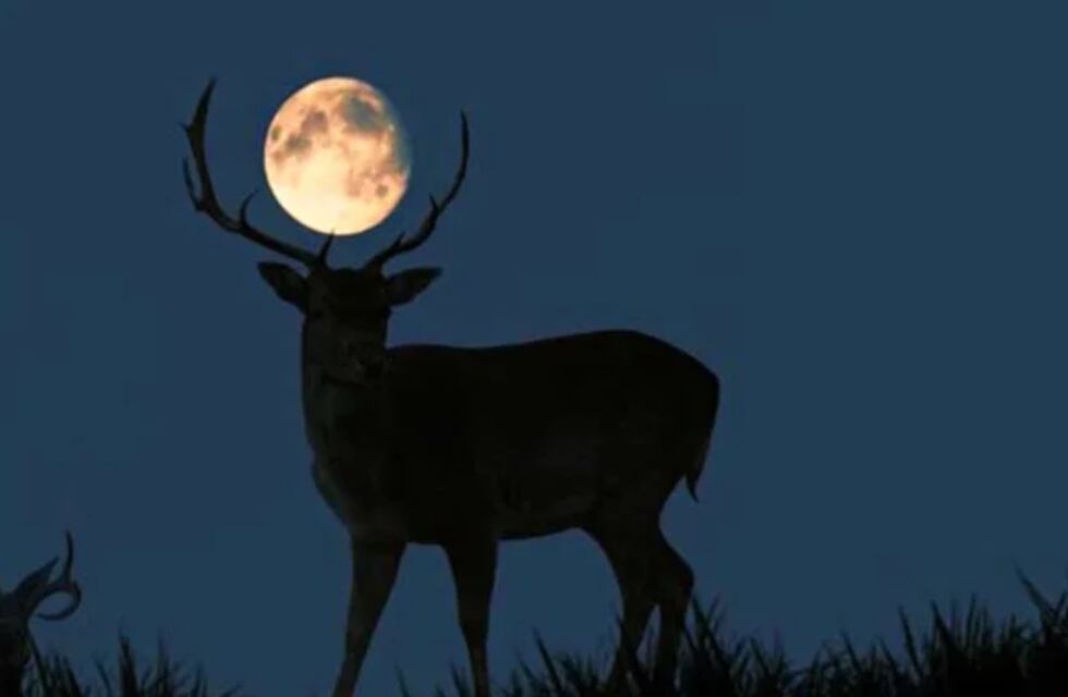 La Superluna de Ciervo, el evento astronómico más importante de julio