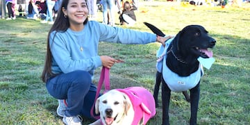 El artículo 71 de la Constitución de la Provincia de Jujuy establece la protección de los animales y prohíbe el trato cruel hacia ellos, mientras la ley provincial 6.317 regula el régimen de protección de los animales y su cuidado responsable.