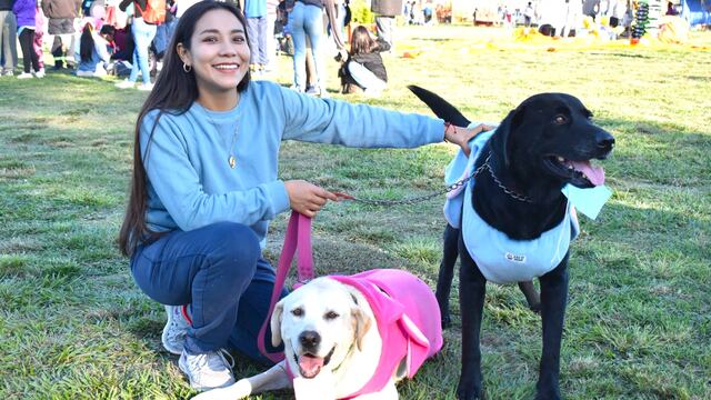 El artículo 71 de la Constitución de la Provincia de Jujuy establece la protección de los animales y prohíbe el trato cruel hacia ellos, mientras la ley provincial 6.317 regula el régimen de protección de los animales y su cuidado responsable.
