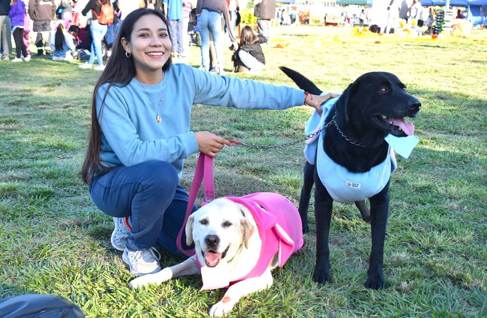Mascotas de parabienes, en Jujuy: viajarán en colectivos y tendrían guardias veterinarias a disposición