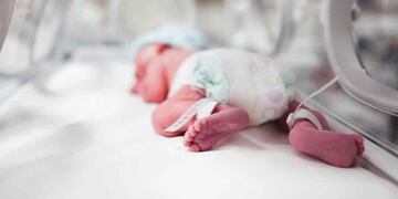 Este 17 de Noviembre se celebra el Día Mundial del Niño Prematuro