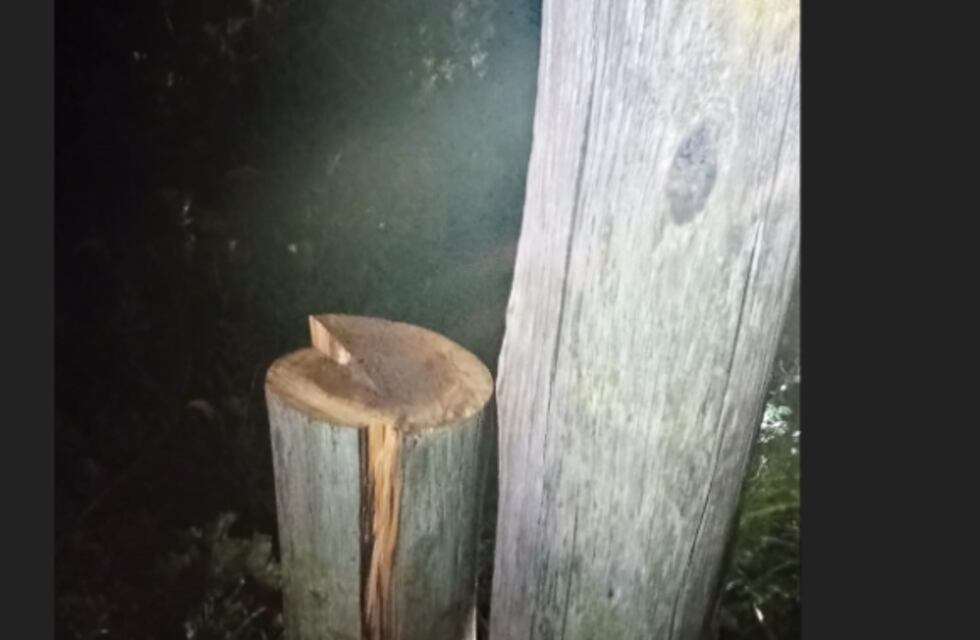 Dos de Mayo: vandalizaron un poste de luz y dejaron sin energía eléctrica a todo el municipio