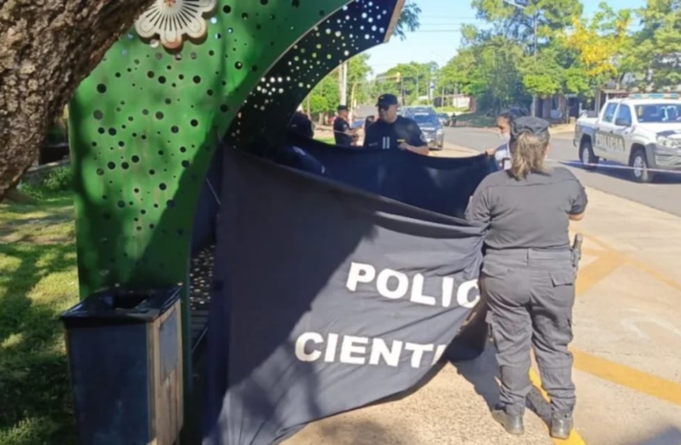 Un hombre murió tras descompensarse mientras esperaba un colectivo en Posadas