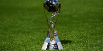 El Mundial sub 20 podría hacerse en la Argentina.