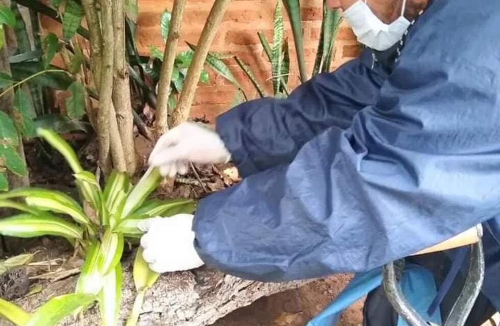 Finaliza el operativo LIRAa en Posadas