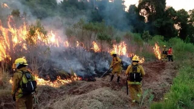 Advierten sobre la cantidad de focos ígneos en la capital provincial.