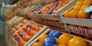 Preocupación del sector del Citrus entrerriano por las compras de Rusia.