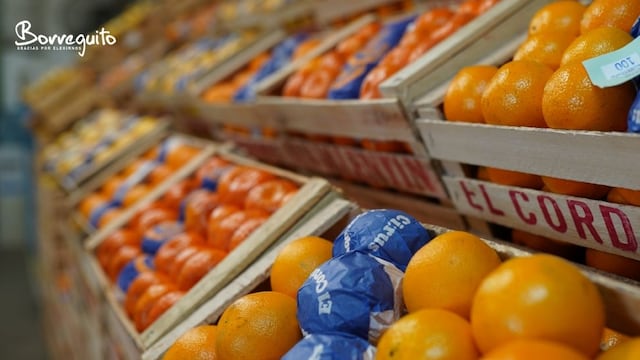 Preocupación del sector del Citrus entrerriano por las compras de Rusia.