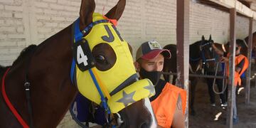 Carreras en Tandil: el próximo fin de semana habrá acción en el Hipódromo de la ciudad
