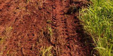 Iniciaron las obras de asfaltado y pavimento en el Autódromo de Eldorado.