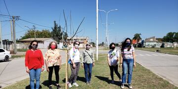 Mujeres apadrinarán árboles en Av. Maggi