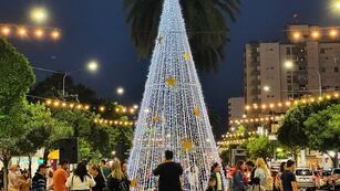 Arbolito de Navidad en Rafaela