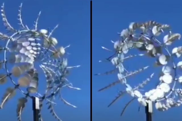 Mandala en movimiento en San Rafael.