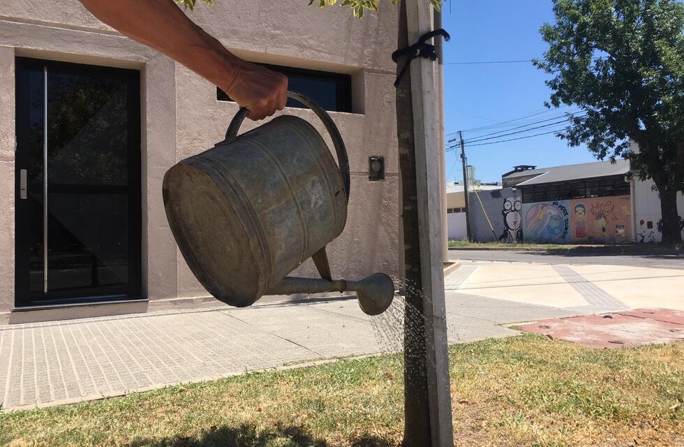 Ciudadanos comprometidos con el cuidado del arbolado