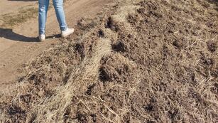 Camión recuperado en Colonia Cello