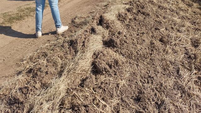 Camión recuperado en Colonia Cello