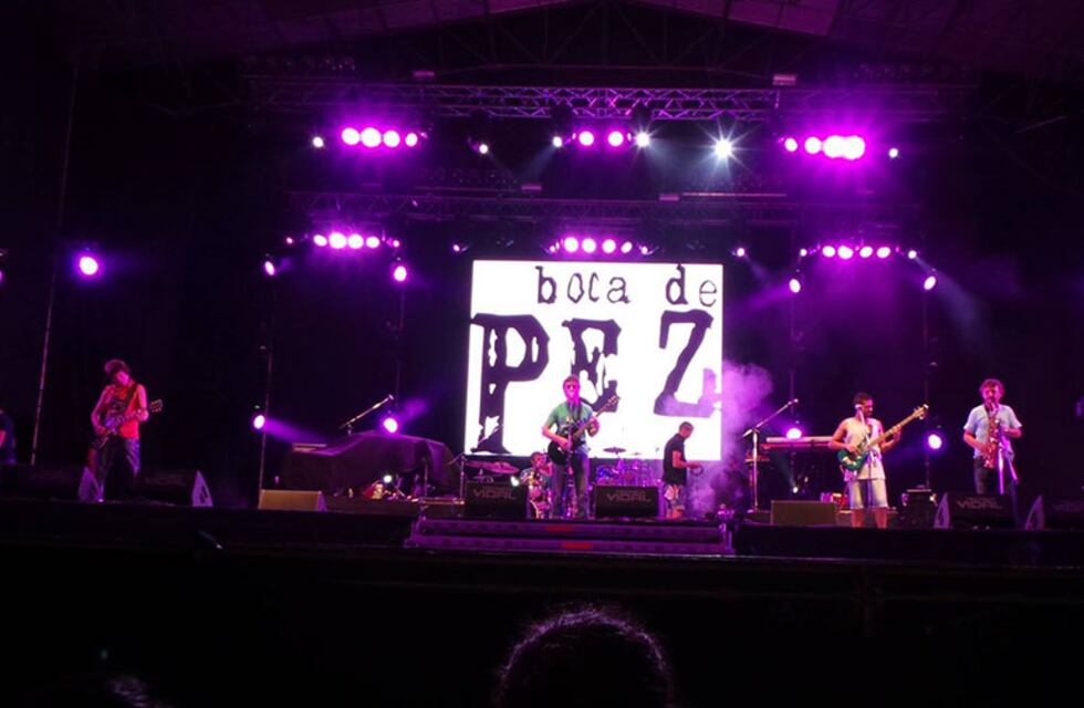 Realizarán un recital solidario conformado por bandas mendocinas