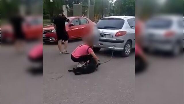 La mujer arrastró al perro por el asfalto.