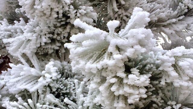 Sin dudas el frío se pudo sentir en todo el territorio mendocino.