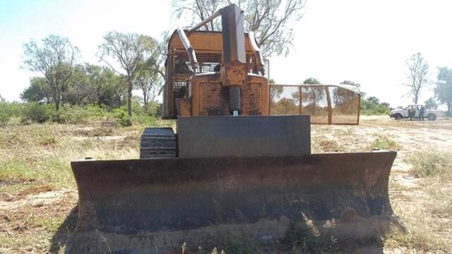 Córdoba registra una de las tasas de deforestación más altas del país en los últimos 15 años.
