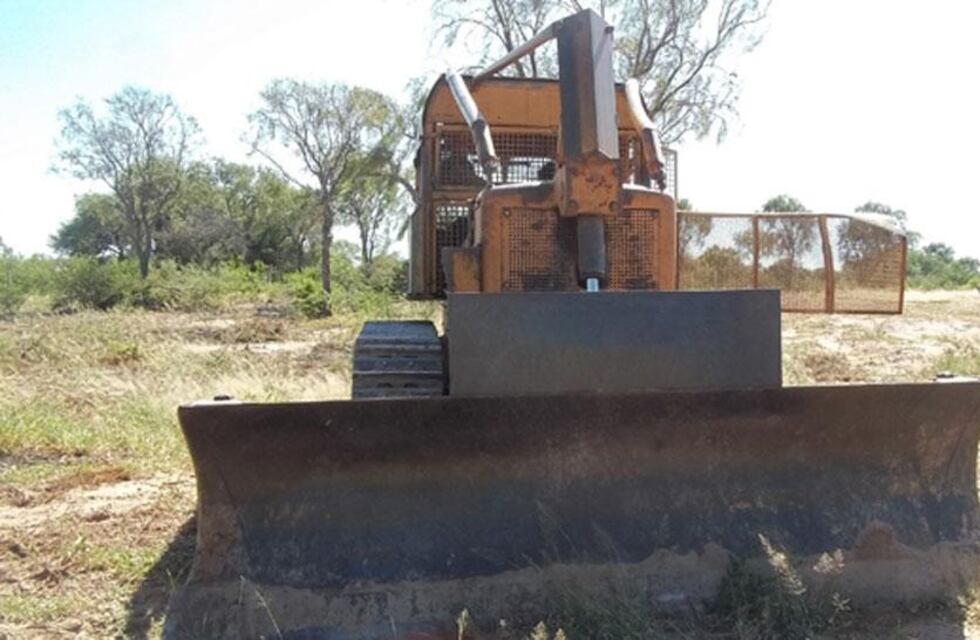 Biólogo, sobre el desmonte en Córdoba: “Es muchísimo”
