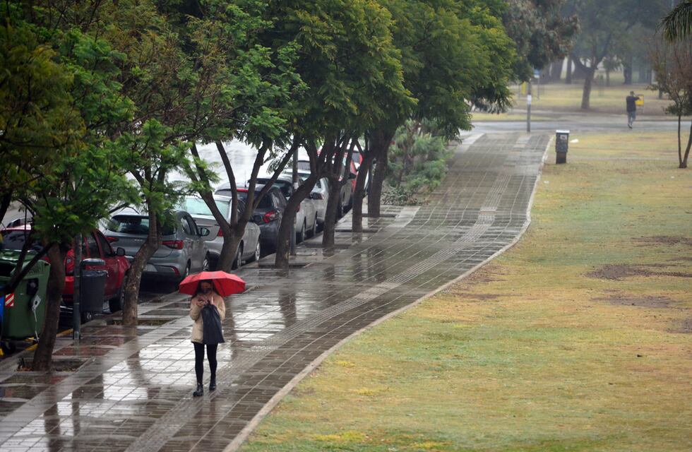 Inseguridad en Córdoba: increíble robo de 700 metros de cables en el parque Sarmiento