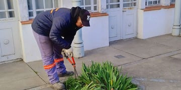 tareas de jardinería y mantenimiento en el Museo Histórico