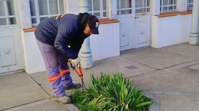 tareas de jardinería y mantenimiento en el Museo Histórico
