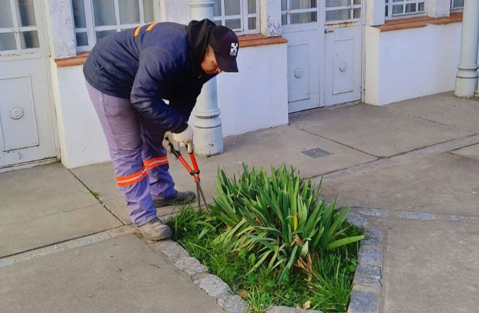 El Museo Histórico se renueva con tareas de jardinería y mantenimiento