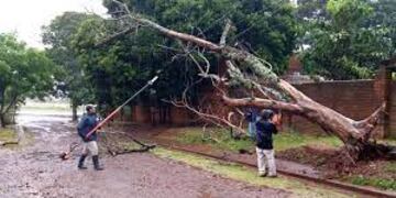 Caída de árboles y fallas de energía eléctrica en Eldorado