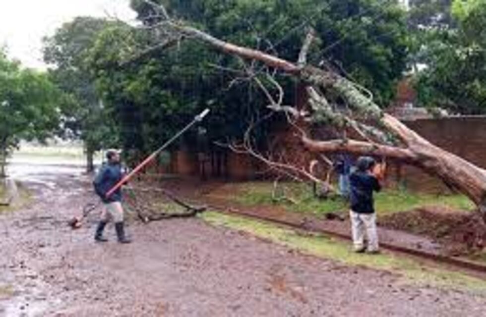 Caída de árboles y fallas de energía eléctrica en Eldorado