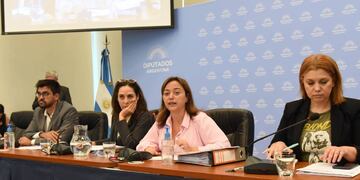 El Frente de Todos propondrá a Cecilia Moreau para suceder a Sergio Massa en la Cámara de Diputados. Foto: HCDN.