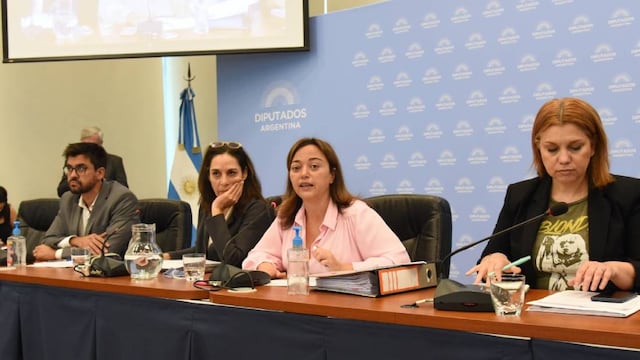 El Frente de Todos propondrá a Cecilia Moreau para suceder a Sergio Massa en la Cámara de Diputados. Foto: HCDN.