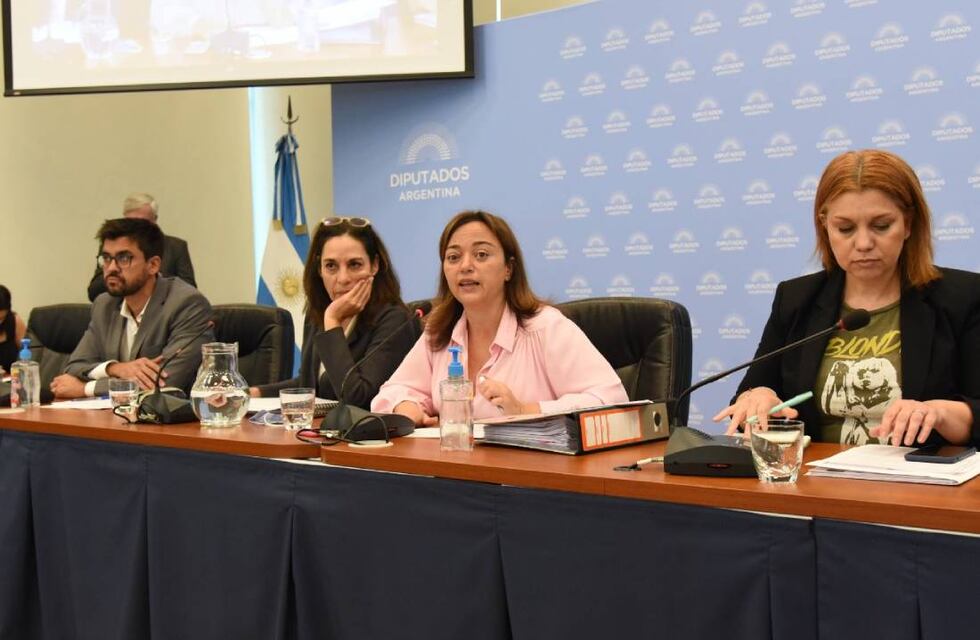Cecilia Moreau reemplazará a Sergio Massa en la presidencia de la Cámara de Diputados