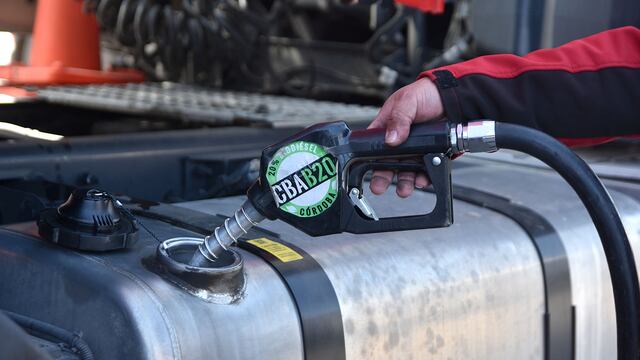 El desarrollo del sector agropecuario promovió la producción de biocombustibles líquidos y gaseosos para el autoconsumo.