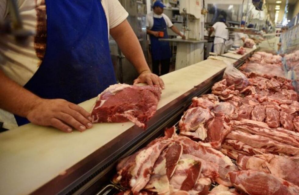 Tras la suba del precio de la carne, prevén que en enero puede haber retroceso parcial en aumentos