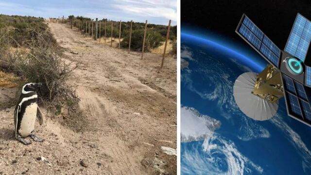 Un satélite de la NASA verificará si se produjo un ecocidio en Chubut
