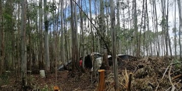 Explotación laboral: ocho trabajadores misioneros rescatados de un cosecha forestal en Concordia