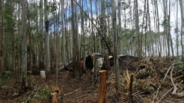 Explotación laboral: ocho trabajadores misioneros rescatados de un cosecha forestal en Concordia