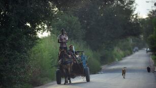 Carreros en Córdoba. ( Javier Ferreyra)