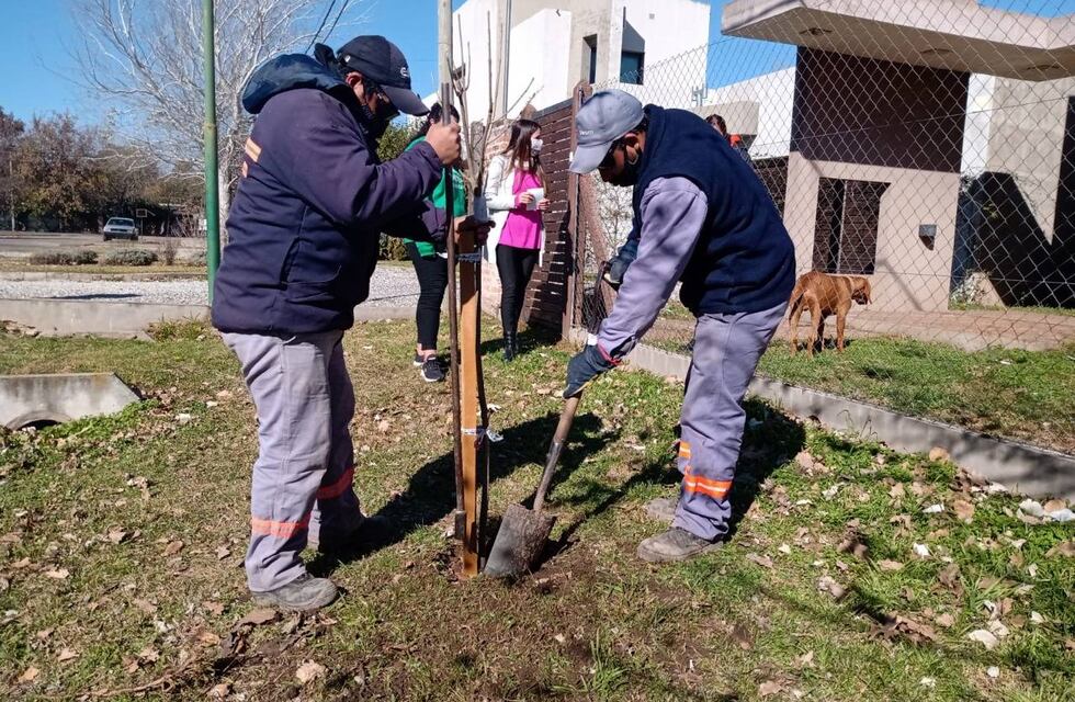 En 2021 se plantarán 2.500 ejemplares